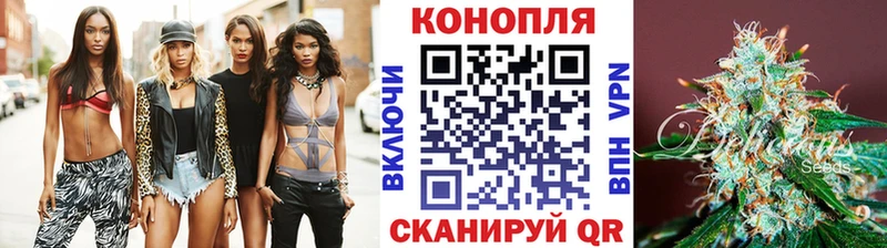 где купить наркоту  Тетюши  Канабис White Widow 